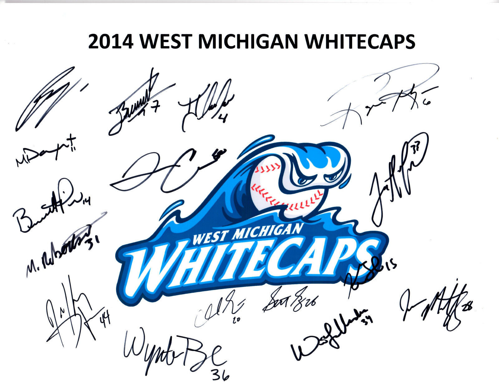 2014 West Michigan Whitecaps team signed 8.5x11 Photo Poster painting Ben Verlander Crawford