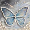 DIY Pearl Painting Butterfly for Home Decor with Frame(30x30cm)
