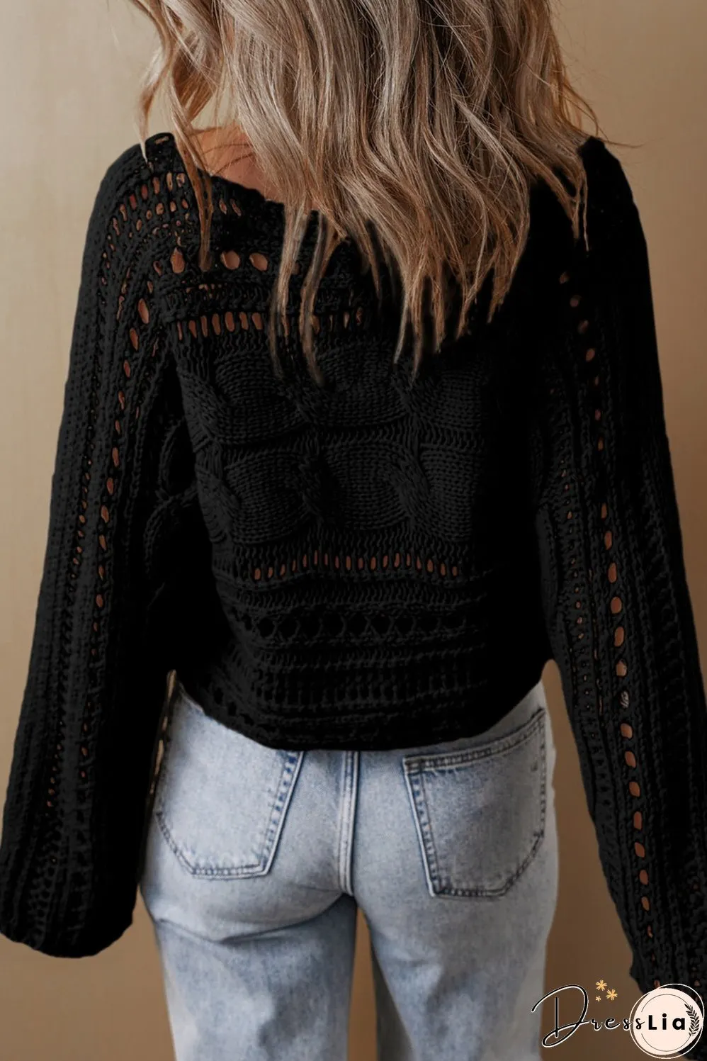 Hollow-out Cable Knit Cropped Sweater