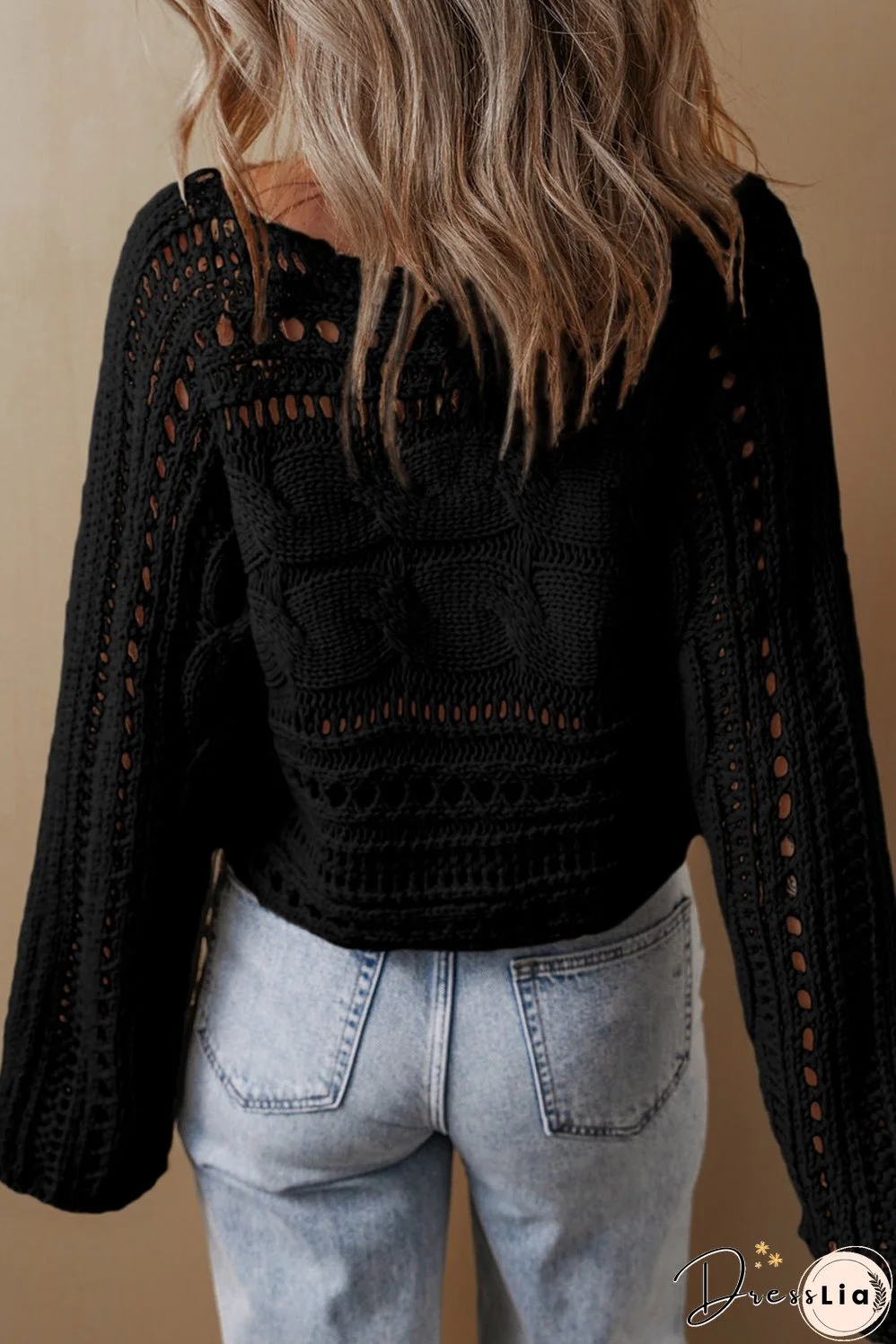 Hollow-out Cable Knit Cropped Sweater