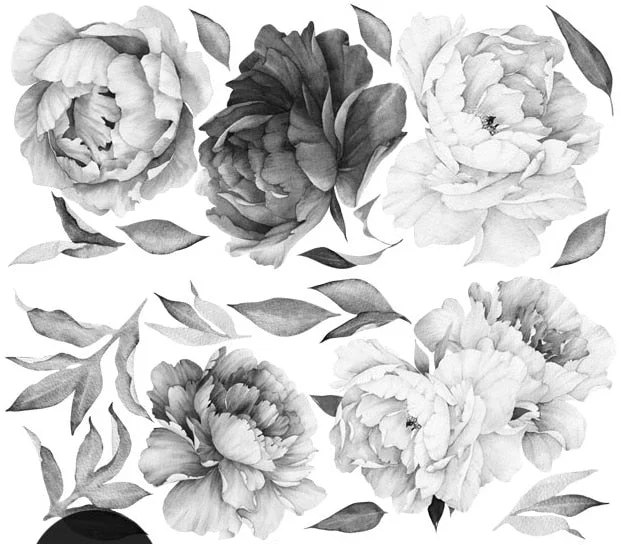 Black And White Watercolor Peony Rose Flowers Wall Sticker Home Decor Living Room Kids Room Wall Decal Flowers Decoration