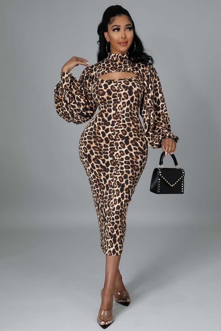 Scoop Neckline Leopard Print Two Piece Dress Set