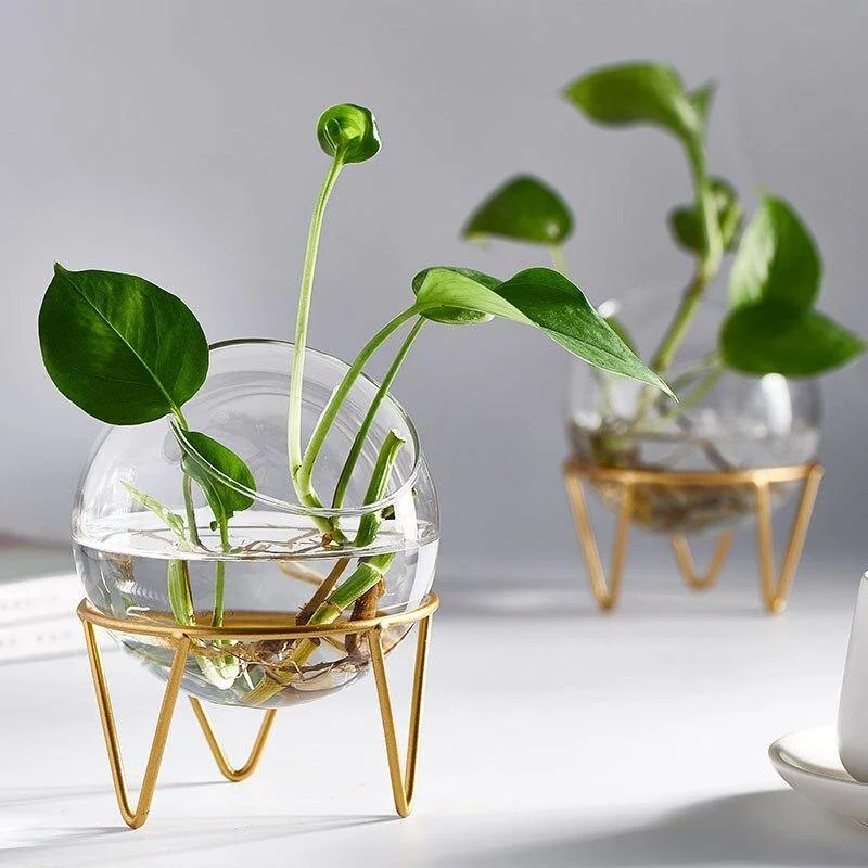 Fishbowl Globe Propagation Vase with Iron Stand