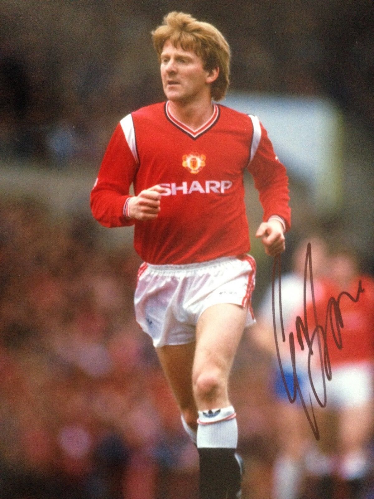 GORDON STRACHAN - FORMER MANCHESTER UNITED PLAYER - SIGNED COLOUR Photo Poster painting