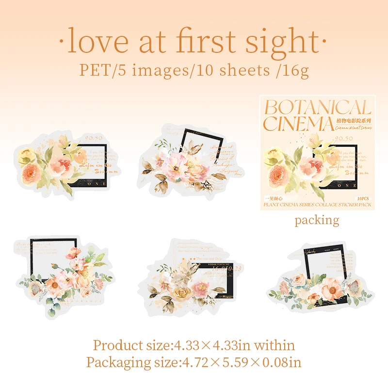 Journalsay Botanical Cinema Series Vintage Flower Film Border PET Sticker 