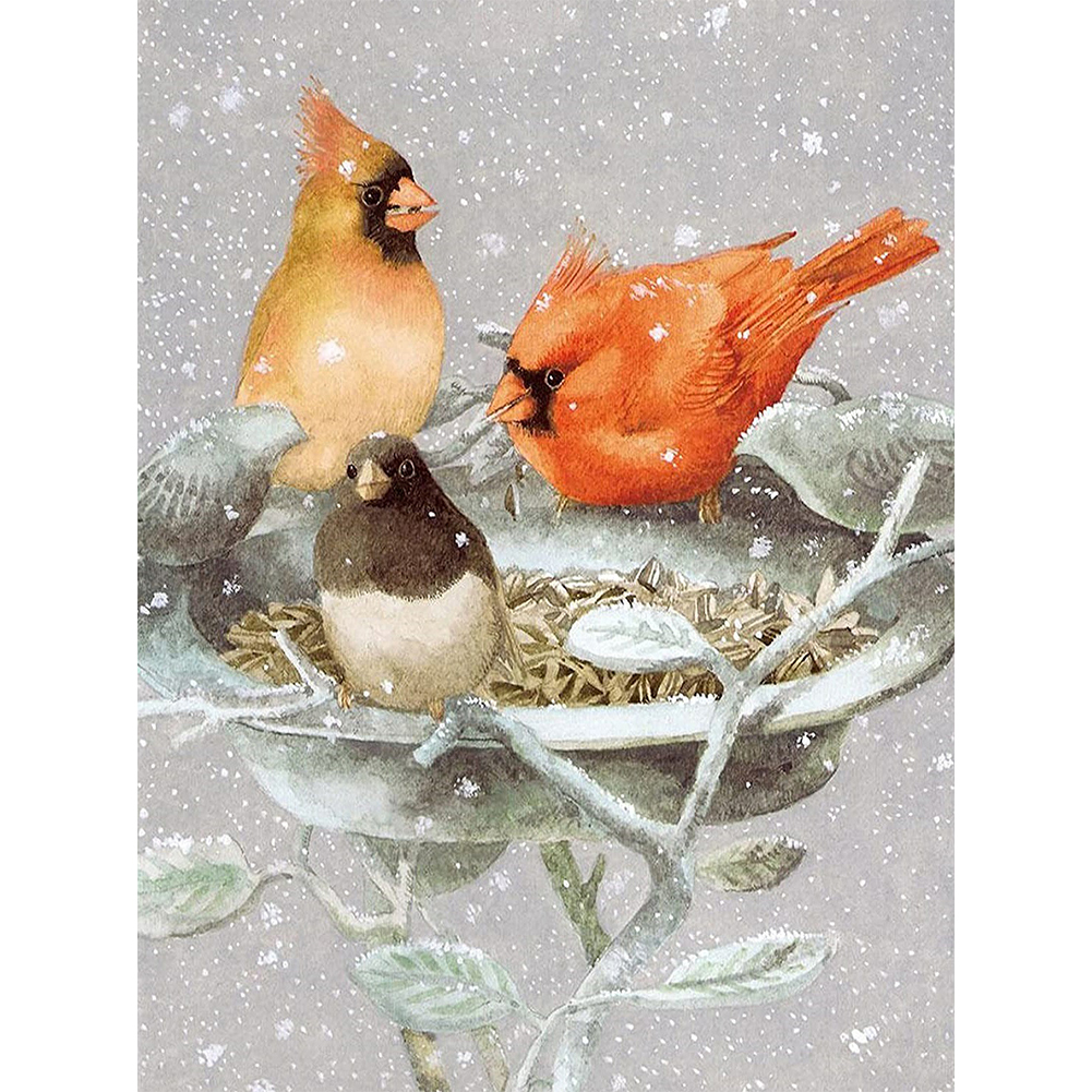 

30*40CM - Round Drill Diamond Painting - Bird, 501 Original