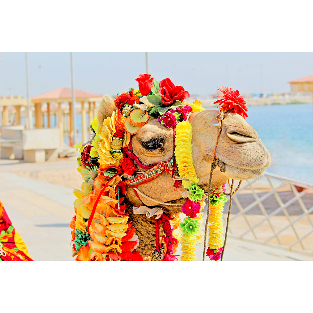 

Camel - 1000 Pieces Jigsaw Puzzle, 501 Original