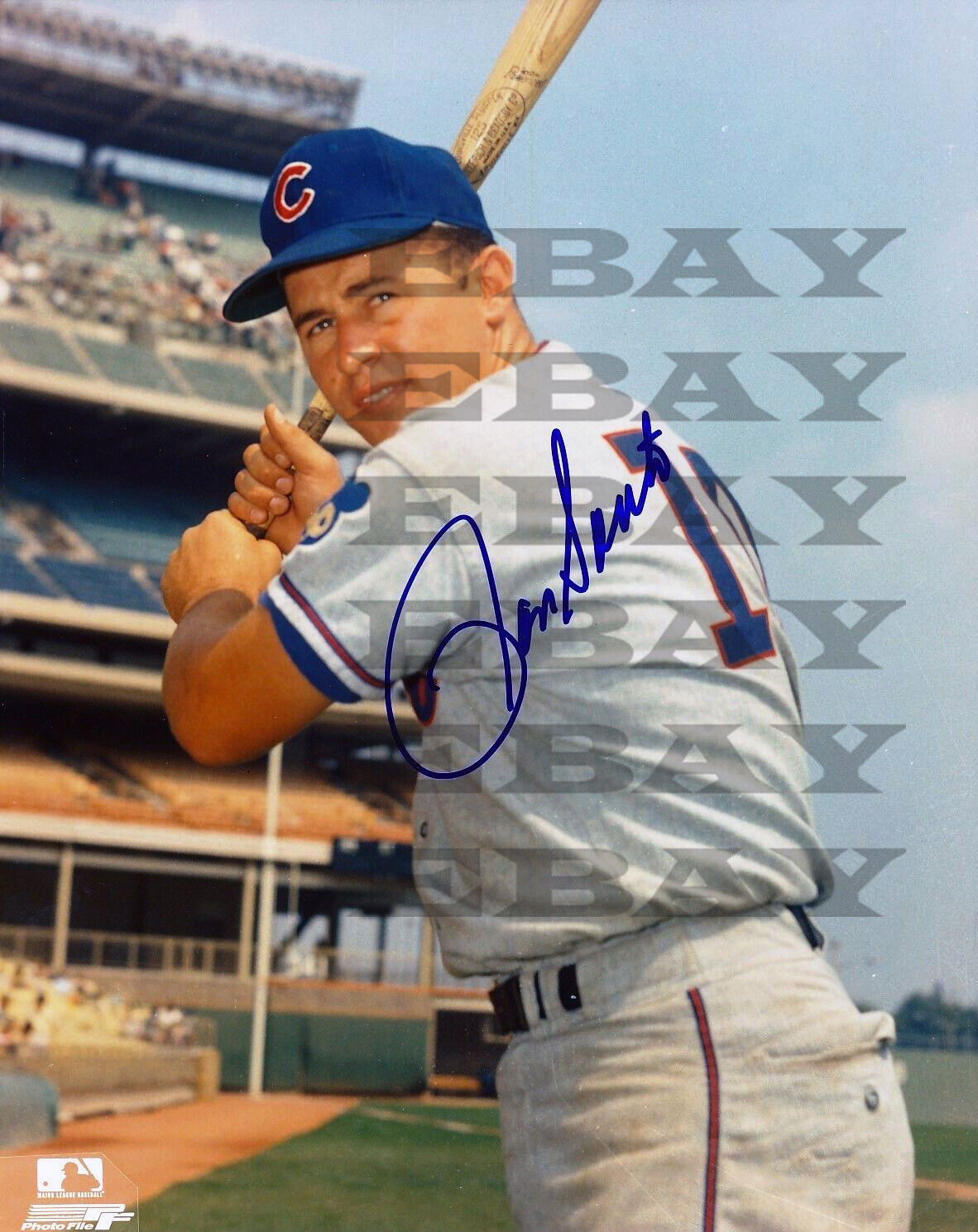 Ron Santo Cubs Signed 8x10 autographed Photo Poster painting Reprint