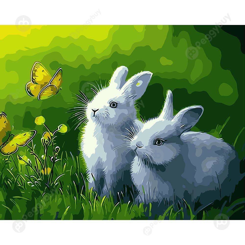 

40*50CM Paint By Numbers-Butterfly Rabbit, 501 Original