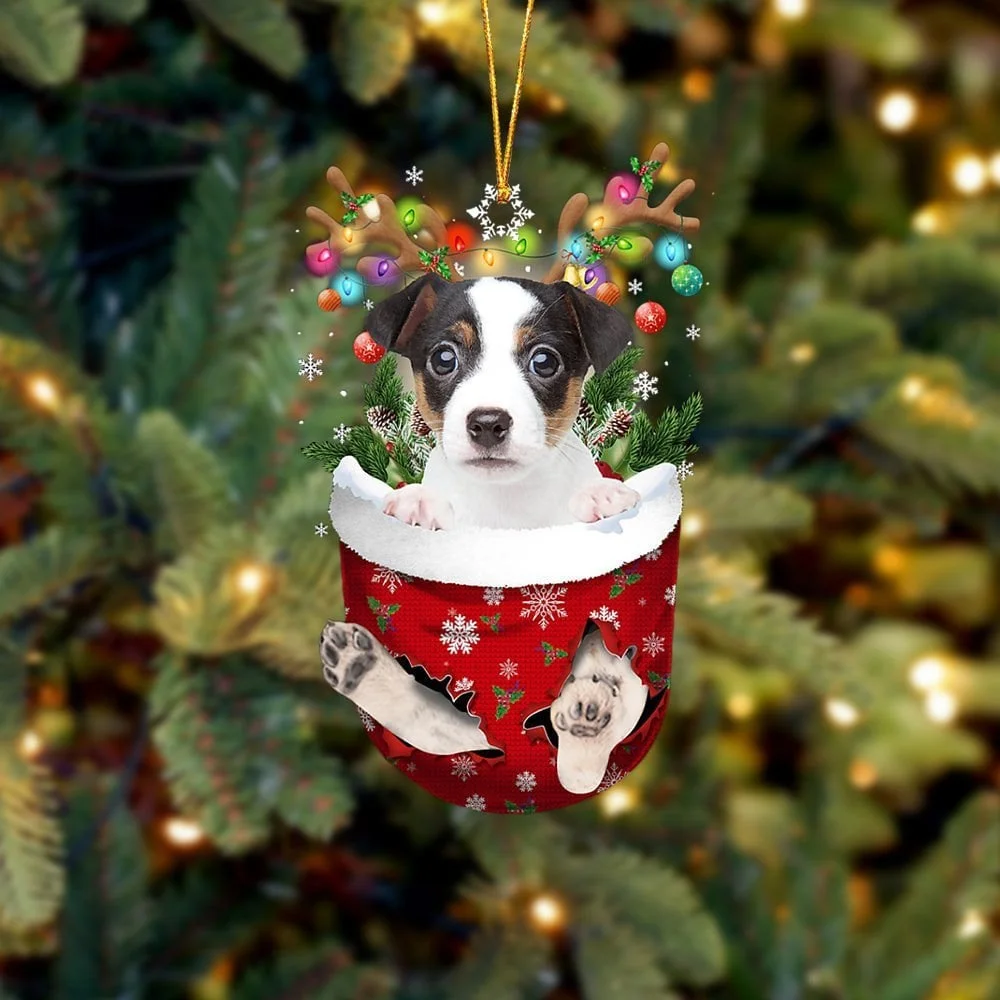 Jack Russell Terrier In Snow Pocket Ornament