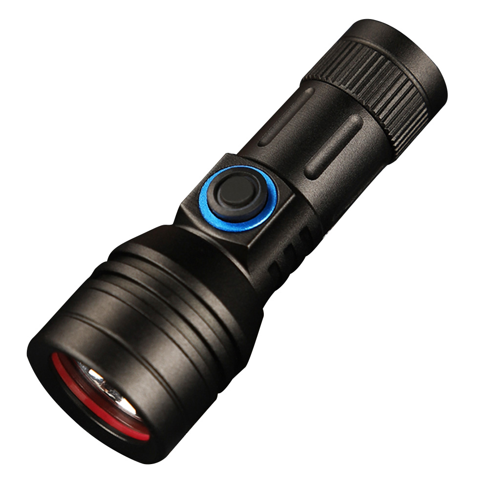 

XPG LED 300LM Mini Portable Keychain Pocket Torch USB Rechargeable Powerful, 501 Original