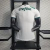 2023/2024 Player Version Palmeiras Away Jersey 1:1 Thai Quality