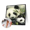 uk.everydayedeals (Limited Stock)Paint By Number - Oil Painting -  Panda (40*40Cm)