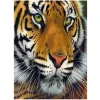 Tiger Head | Full Round Diamond Painting Kits
