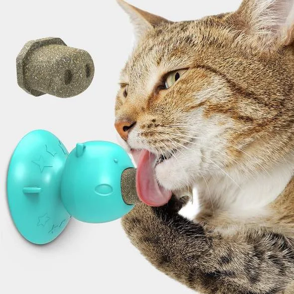 Cats licking toys-Cleaning teeth