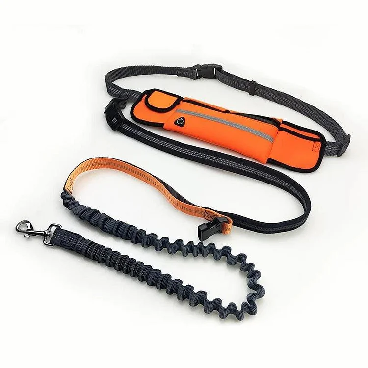 Buddy Bungee Dog Leash | 168DEAL