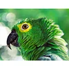 uk.everydayedeals (Limited Stock)Diamond Painting - Full Square - Eagle