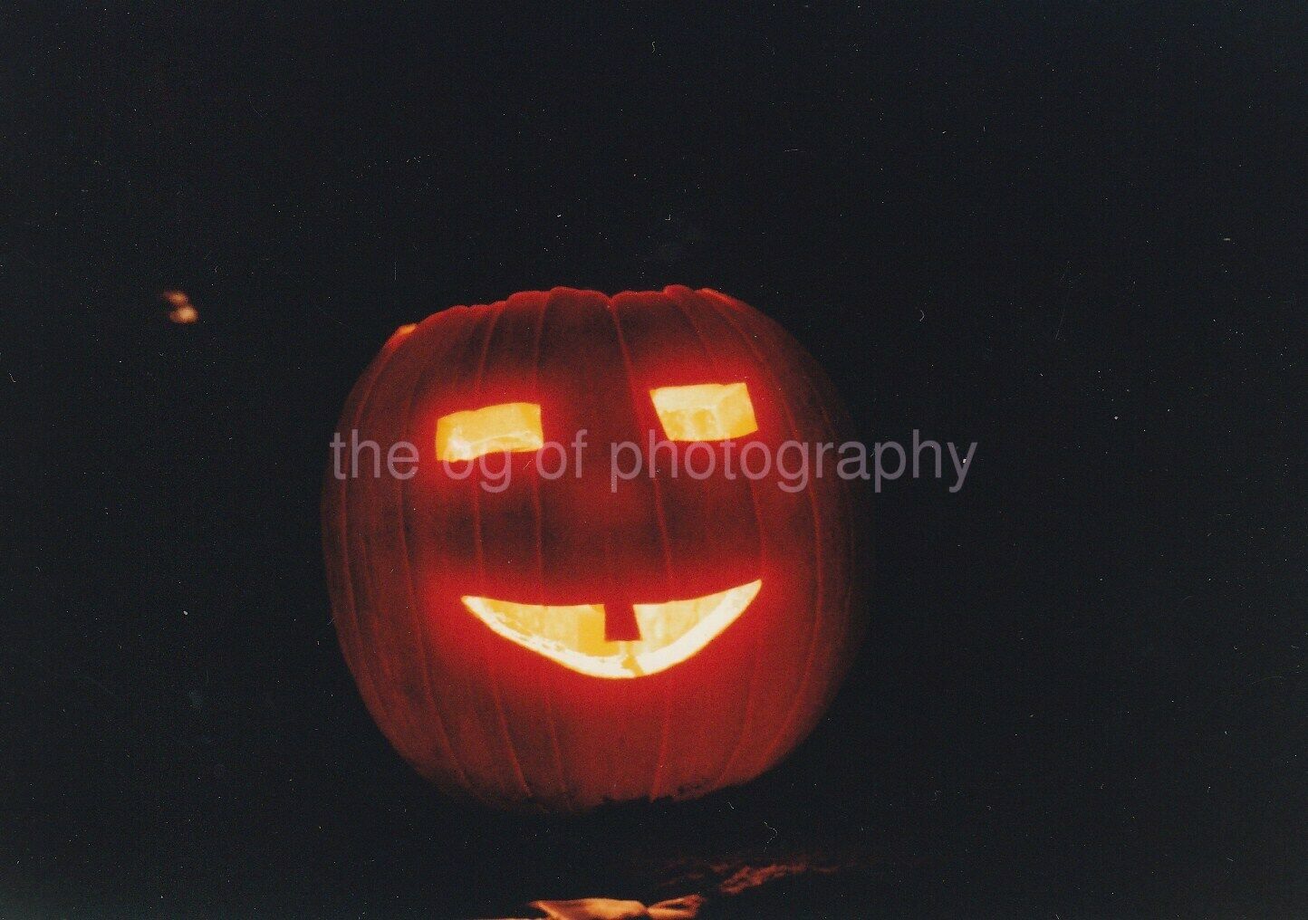 Jack O’ Lantern FOUND Photo Poster paintingGRAPH ColorHalloween Pumpkin 94 10 I