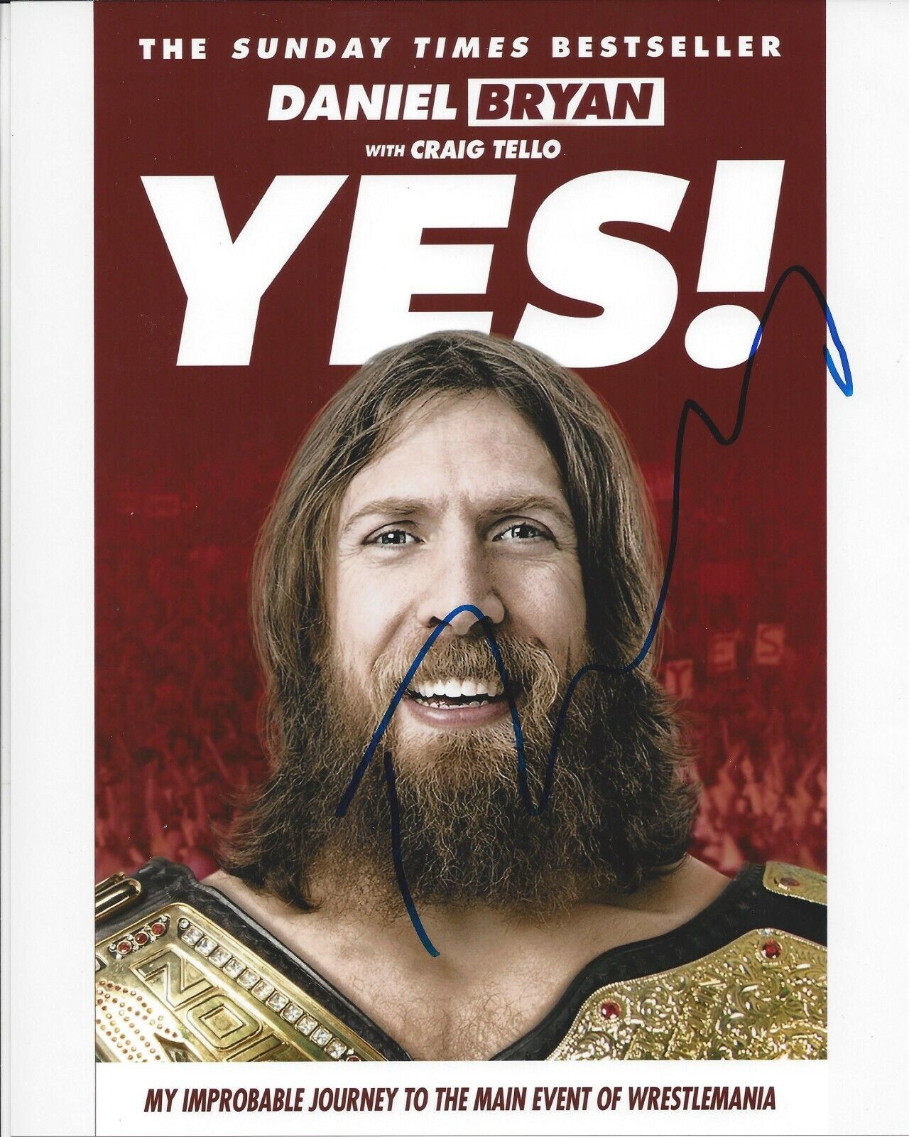 Daniel Bryan Autographed 8x10 YES WWE World ChampionA494