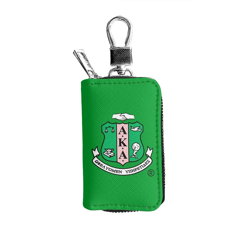 Car key cover