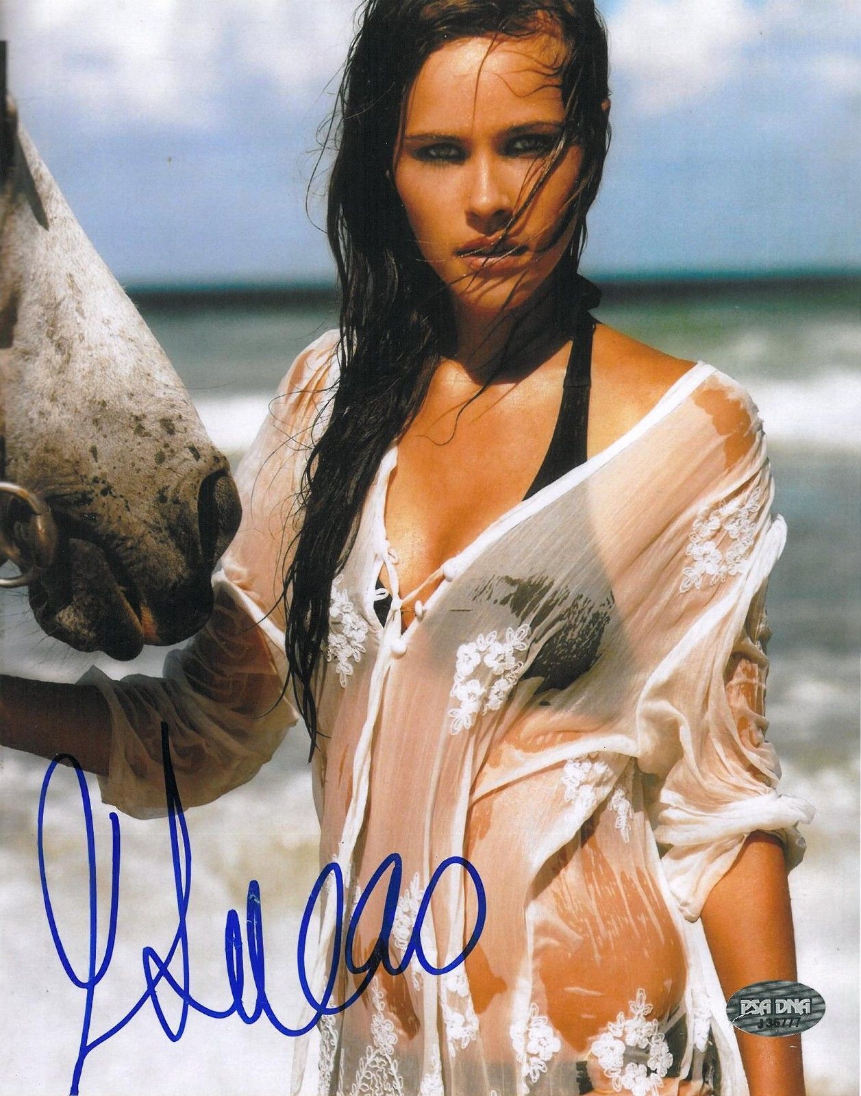 Isabel Lucas Signed Authentic Autographed 8x10 Photo Poster painting (PSA/DNA) #J36777