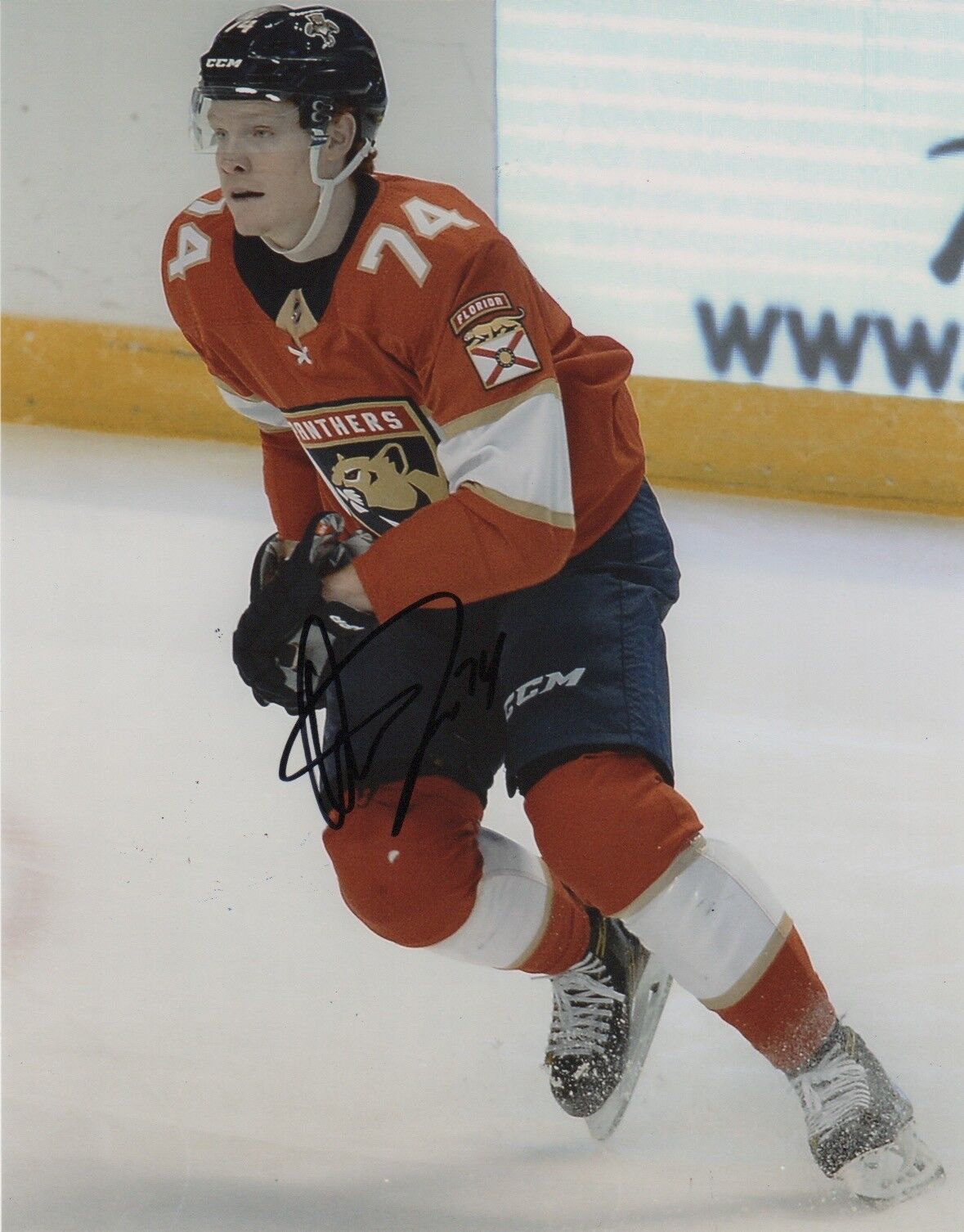 Florida Panthers Owen Tippett Signed Autographed 8x10 Photo Poster painting COA