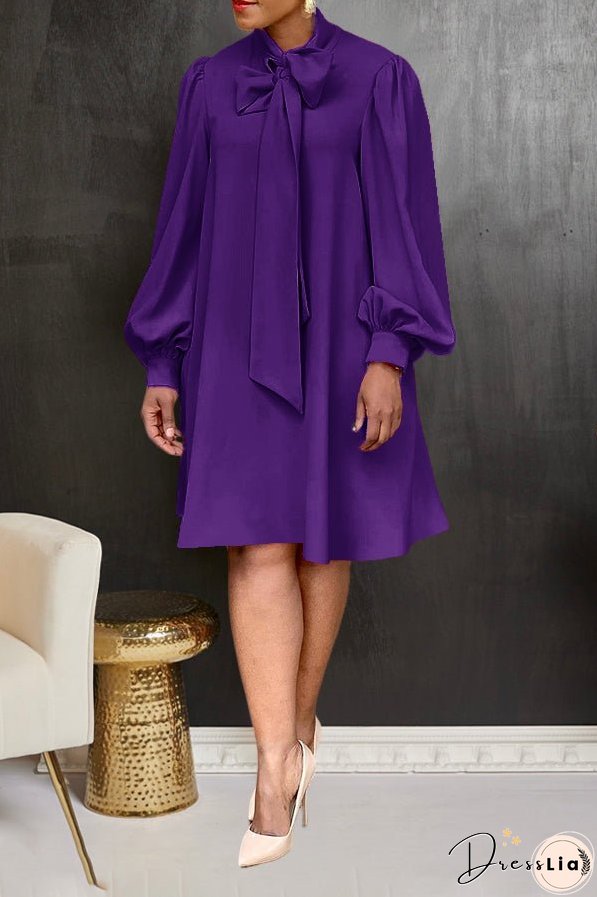 Tailored and Elegant winter Dress