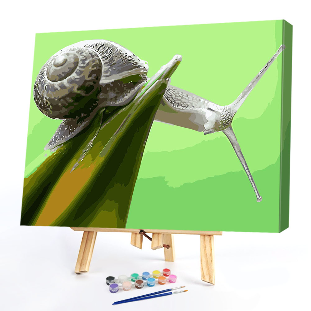 

40*50CM Paint By Numbers-Snails, 501 Original