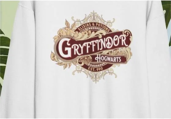 Hogwarts Magic School Sweatshirt