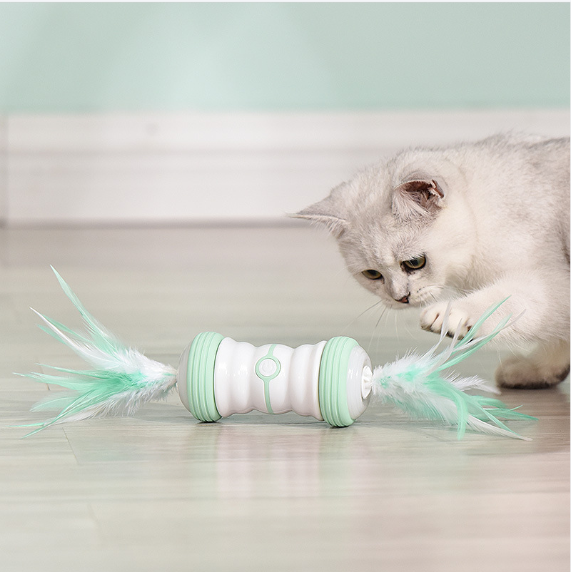 Rechargeable Pet Cat Interactive Toys