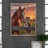 (40*50cm)Horse and Cat - Full Round Drill Diamond Painting