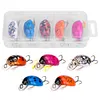 5Pcs Cicada Bait 3.8cm 4g Fishing Lure Artificial Ladybug Fishing Bait Hard Bait