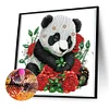 Panda avec rose-peinture diamant en forme spéciale-30 * 30cm