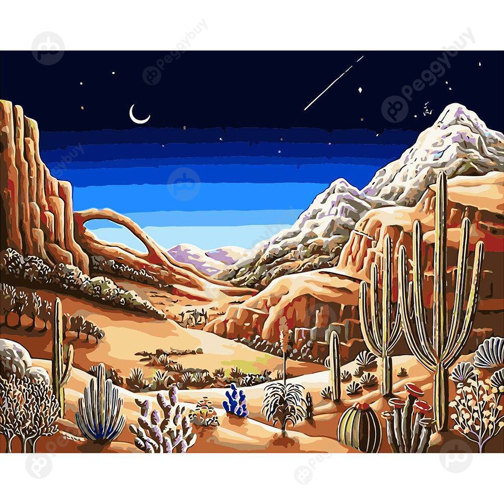 

40*50CM Paint By Numbers-Starry Sky Deserts, 501 Original