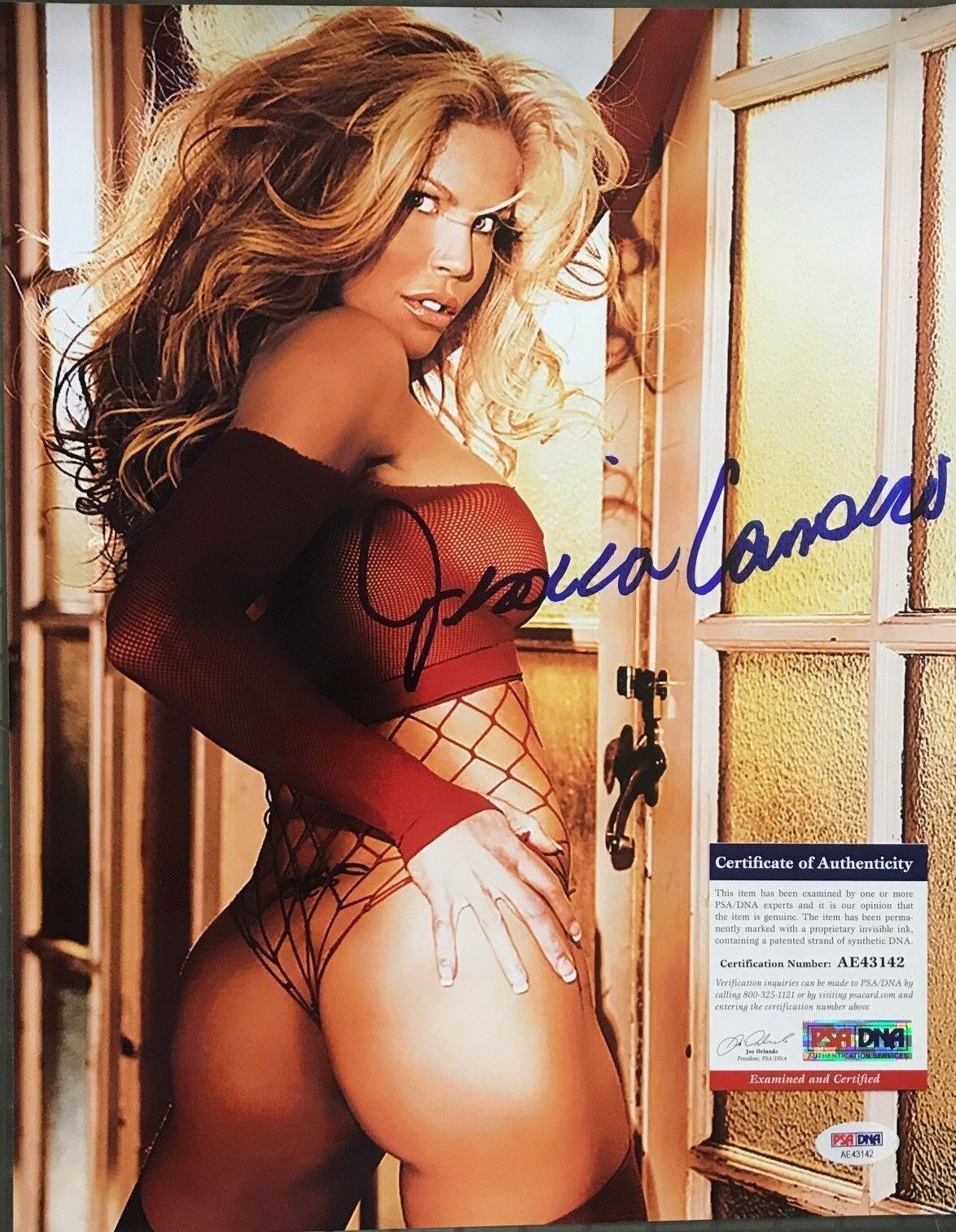 Jessica Canseco Signed 11x14 Photo Poster painting PSA/DNA COA ( Jose Canseco's Ex Wife )