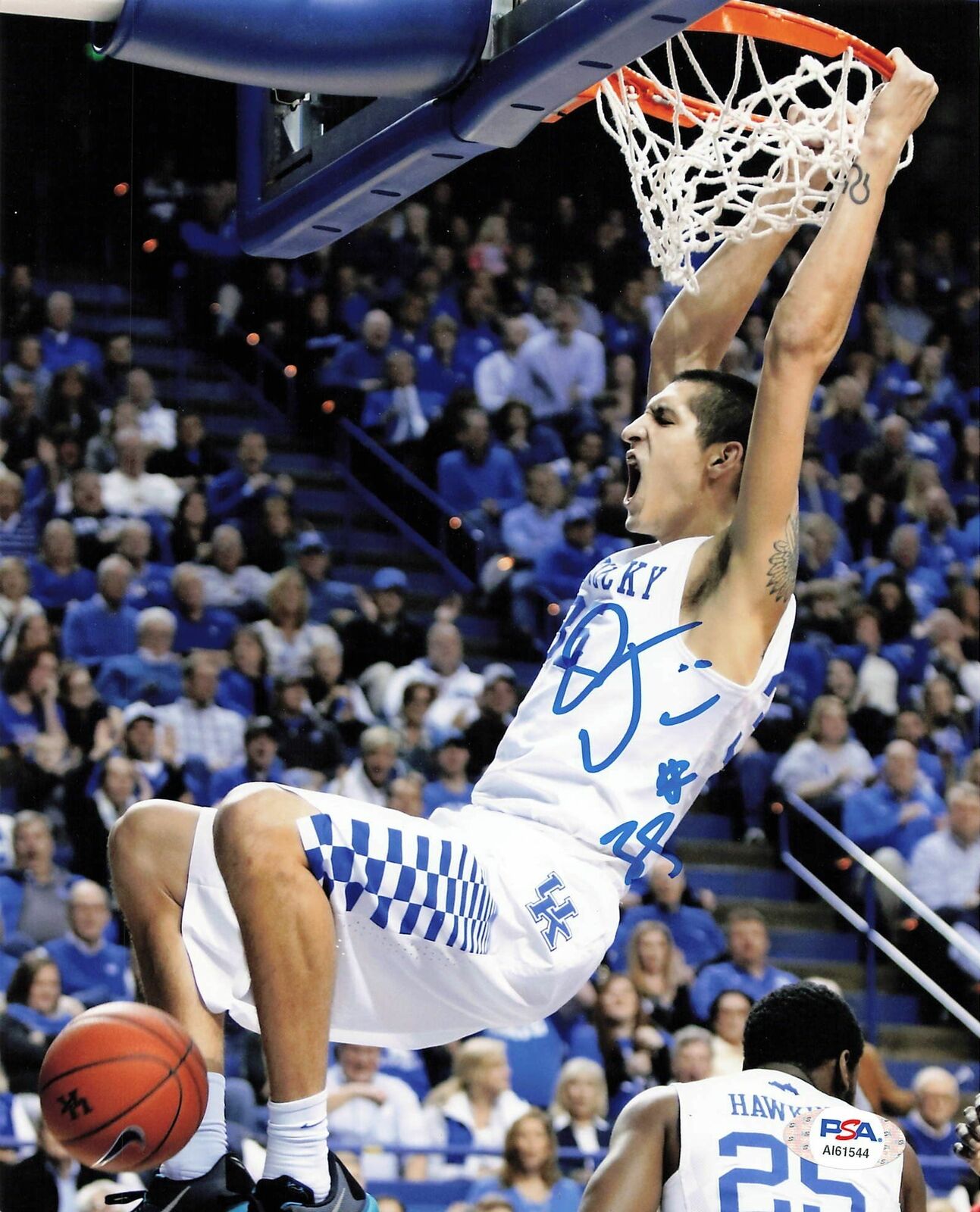 DEREK WILLIS signed 8x10 Photo Poster painting PSA/DNA Kentucky Wildcats Autographed