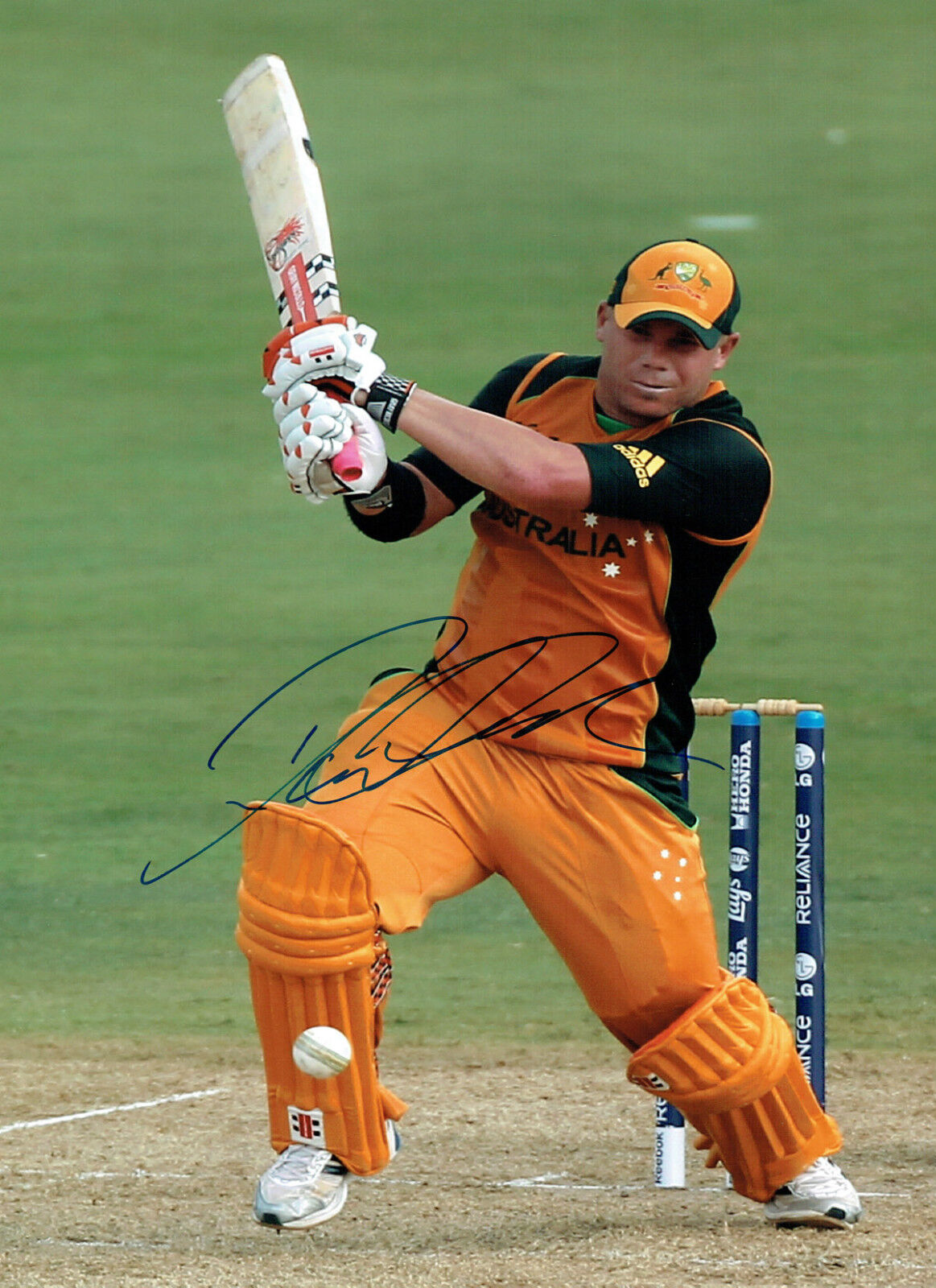 David WARNER Signed Autograph 16x12 Australia Cricket LARGE Photo Poster painting AFTAL COA