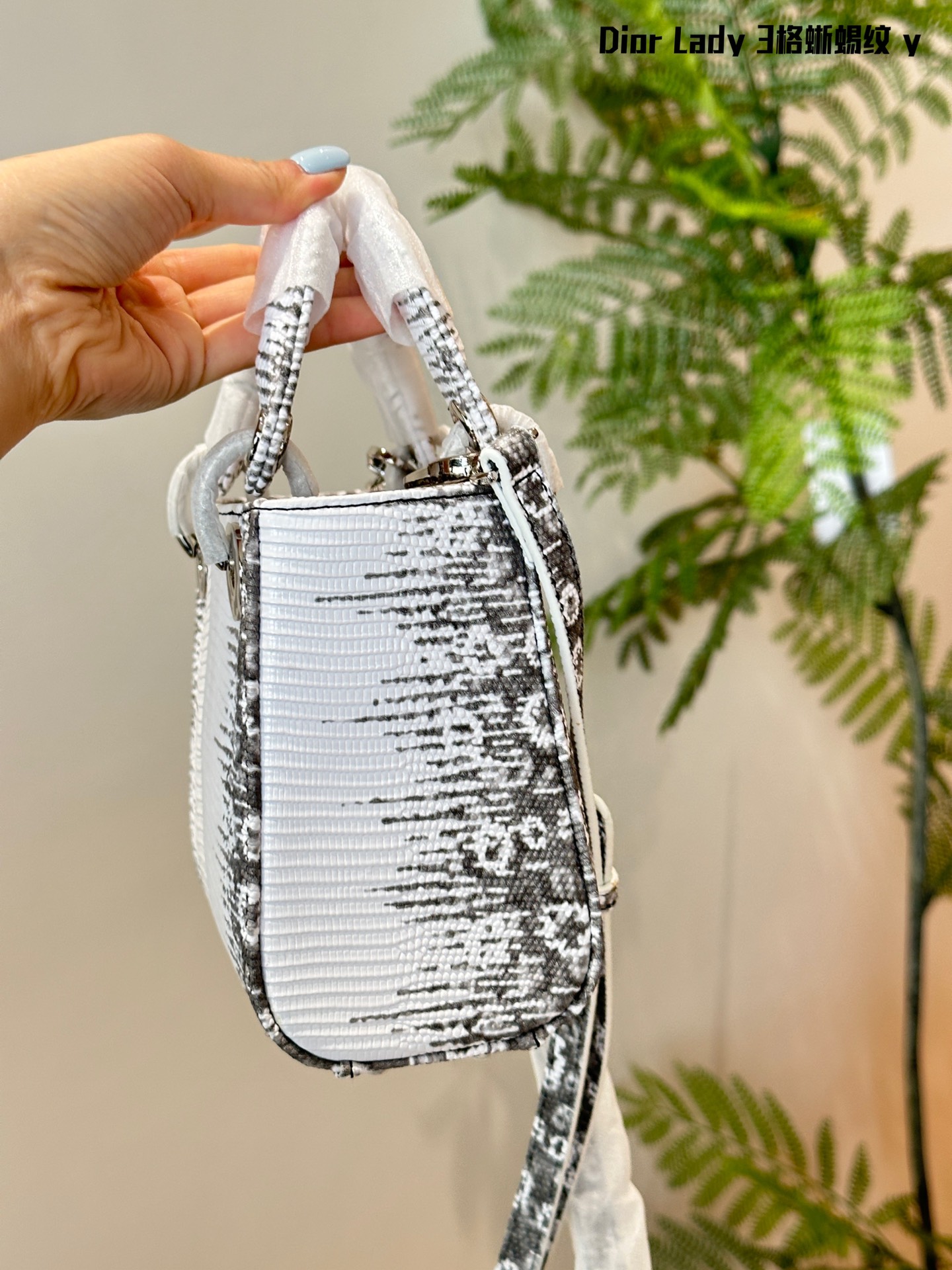 67f20d059b0a00acdfdf3cfab006d1d9