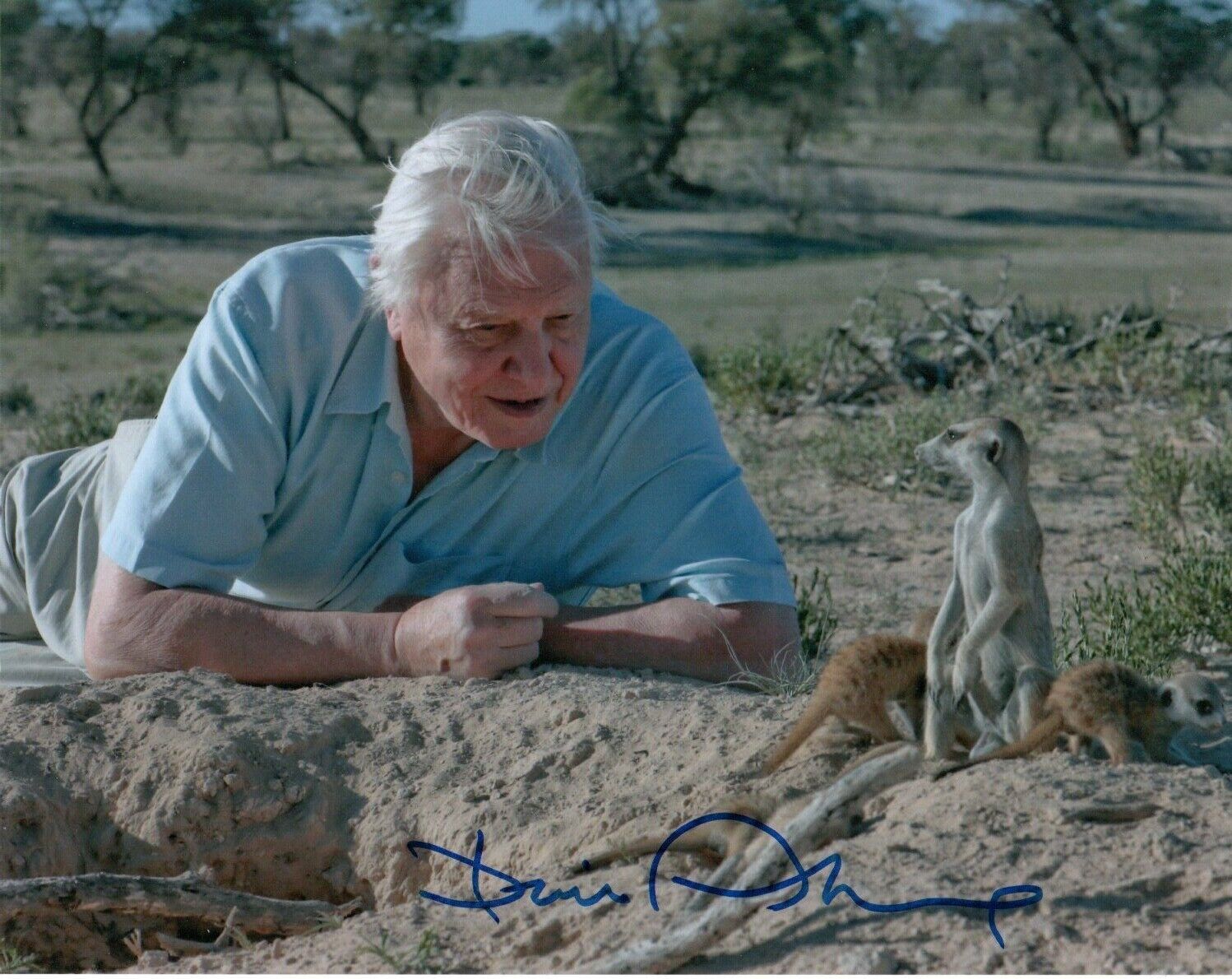 David Attenborough HAND Signed 10x8' Photo Poster paintinggraph Naturalist Broadcaster Autograph