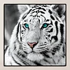 Tiger Head - Complète Rond Peinture au Diamant  30*30cm