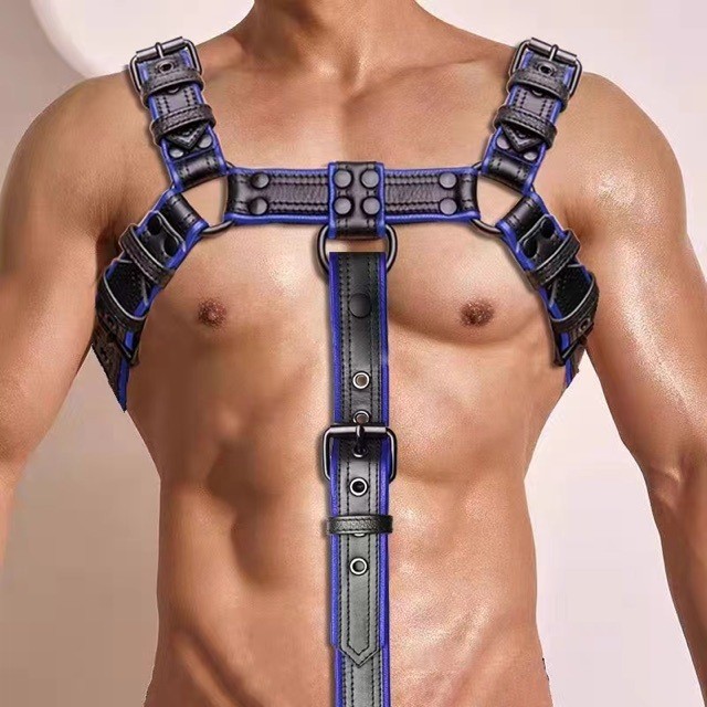 Bondage Harness BDSM Fetish Restraint Lingerie