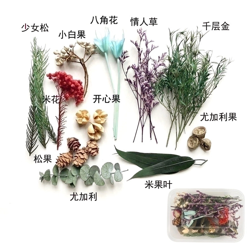 Flower Dried Flower Party Dried Flower