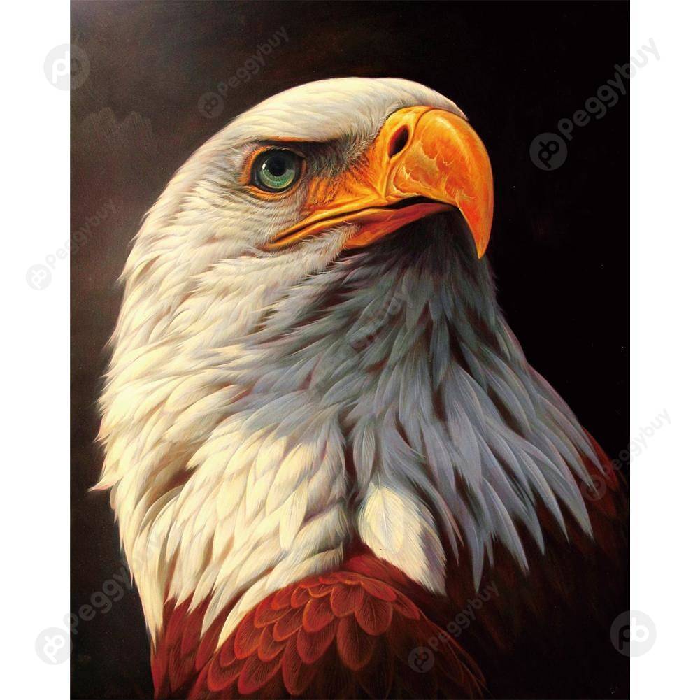 

25*30CM - Special Shaped Diamond Painting - Eagle, 501 Original
