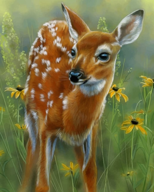 

Goitered Gazelle And Sunflowers – Paint By Numbers - 40*50CM, 501 Original