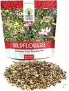 Wildflower Seeds Annual Quick Blooming Mix Packet over 7,500 Open Pollinated Seeds