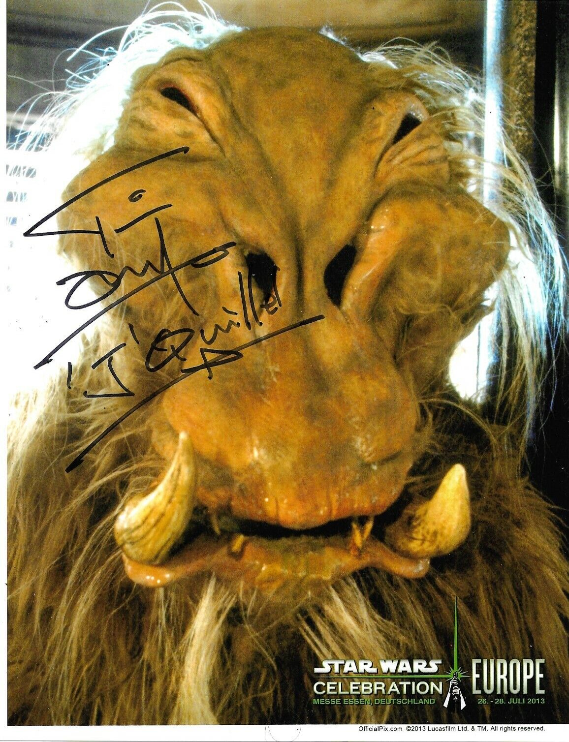 Tim Dry Signed Star Wars 10x8 Photo Poster painting AFTAL