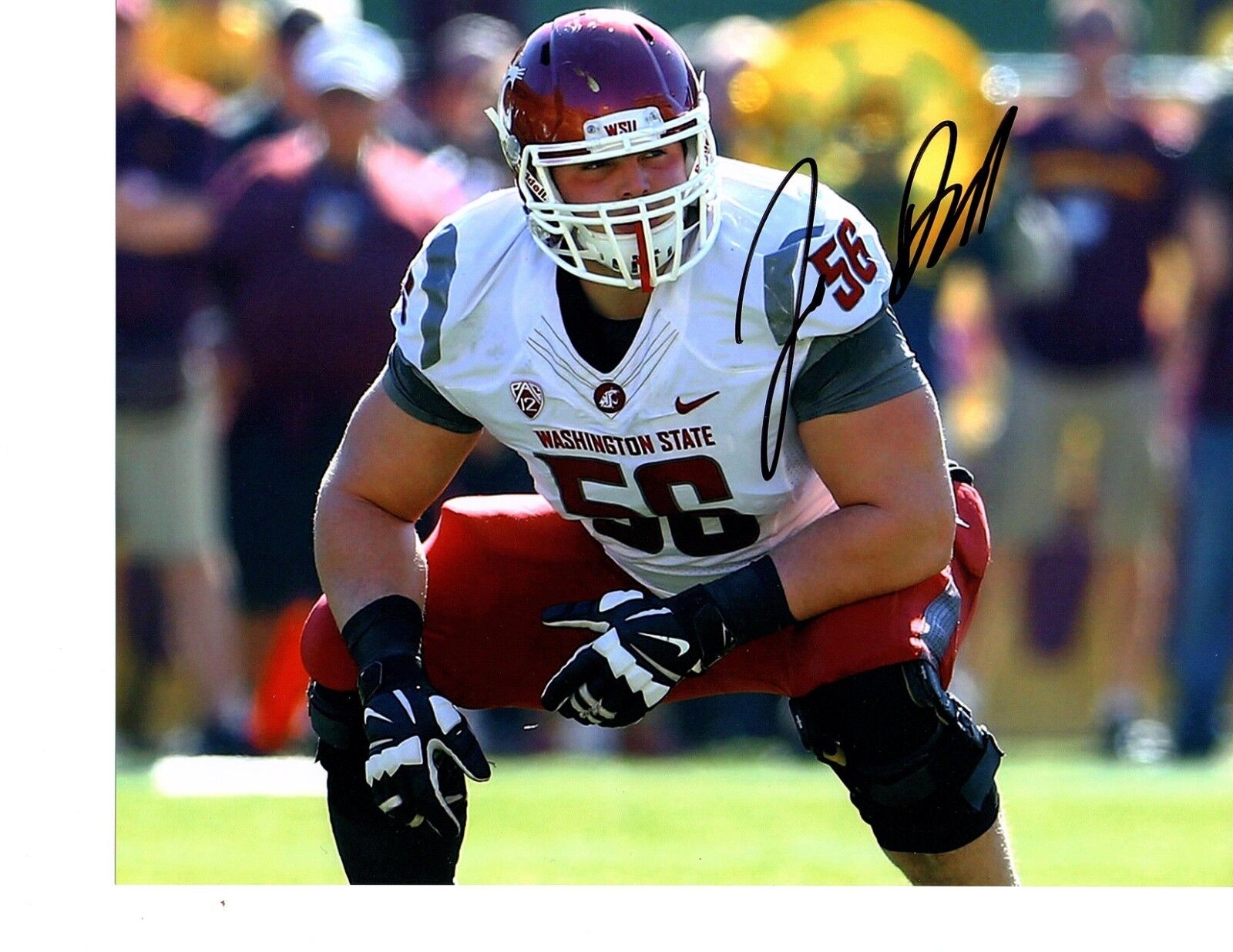 Joe Dahl Washington State Cougars Hand signed autographed 8x10 football Photo Poster painting!