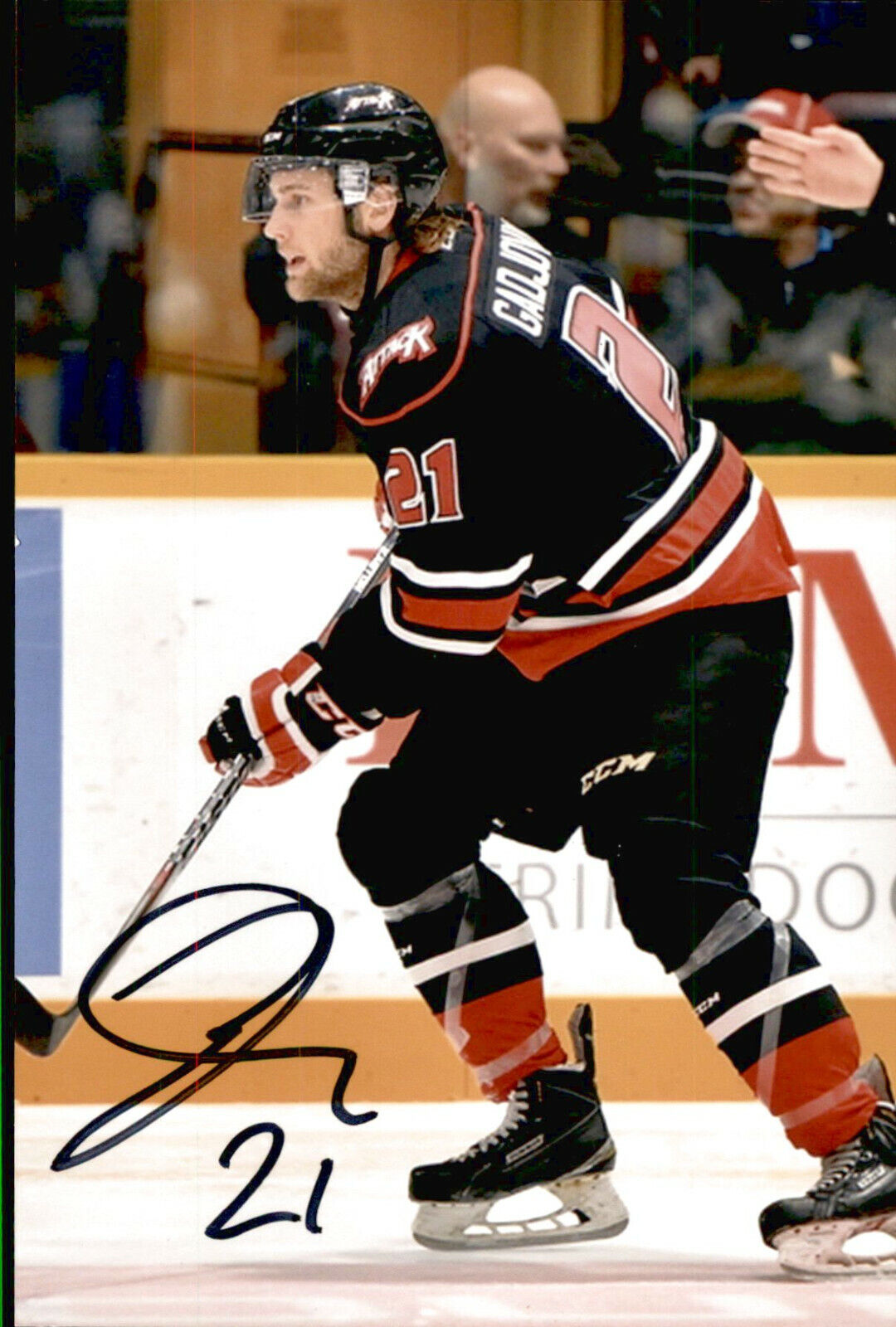 Jonah Gadjovich SIGNED 4x6 Photo Poster painting OWEN SOUND ATTACK / SAN JOSE SHARKS #5