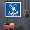 Diamond Painting -DIY Round Drill Crystal Palaces Football Club(50*50 CM)