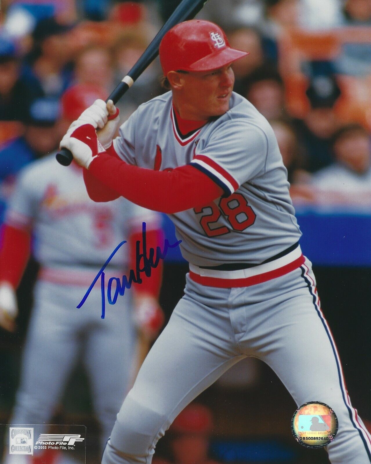 Signed 8x10 TOM HERR St. louis Cardinals Autographed Photo Poster painting- COA